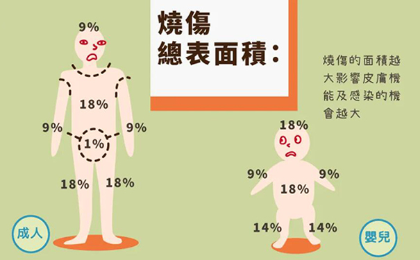 烧伤疤痕修复