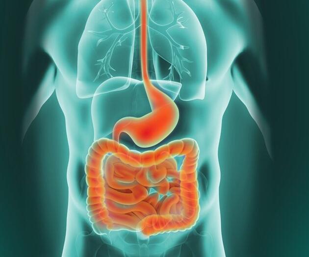 你了解胃肠病前期有哪些征兆吗？